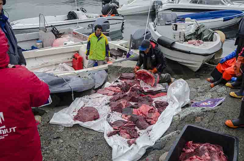 208 - Groenlandia - Narsaq - puerto y punto de venta de la pesca local - hoy ballena